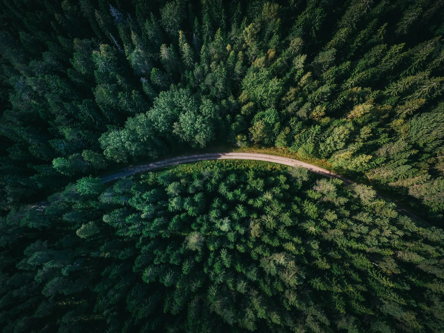 Hébergement web écologique, comment choisir ?
